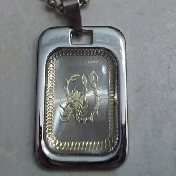 Other - New Stainless Steel Scorpio Dog Tag Necklace